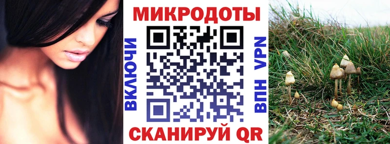 Галлюциногенные грибы Magic Shrooms  купить закладку  даркнет клад  Озёрск 